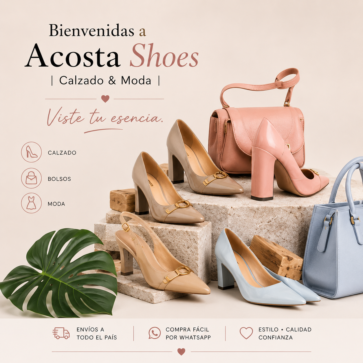 Publicación: Bienvenidas a Acosta Shoes